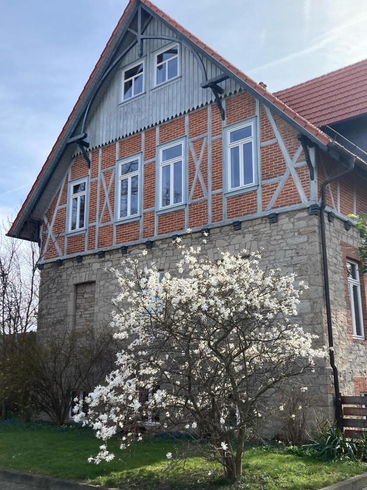 Gaestehaus Musestieg Тале Экстерьер фото